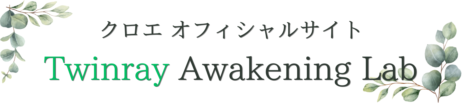 Twinray Awakening Lab